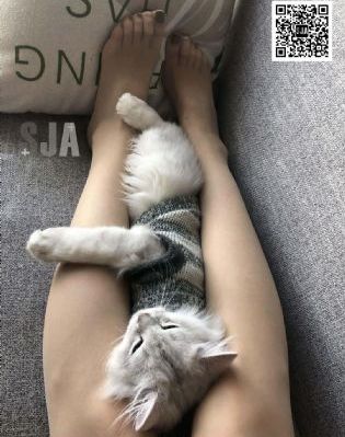 为什么女性不敢反抗的原因_高清最新电影在线观看