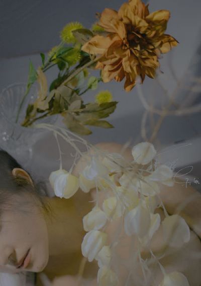 美丽姑娘视频完整版在线观看高清_高清完整版免费在线观看