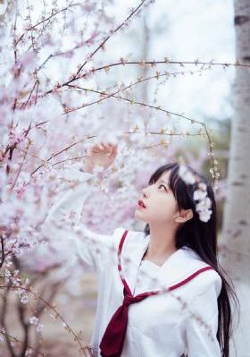 BT种子天堂视频在线观看_蓝光动漫在线观看